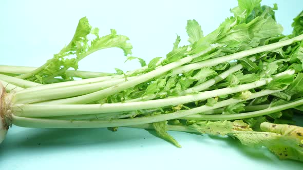 Closes up of white radish vegetable