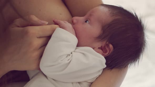 Mom breastfeeds a nursing baby. Close-up portrait of the infant and mother.