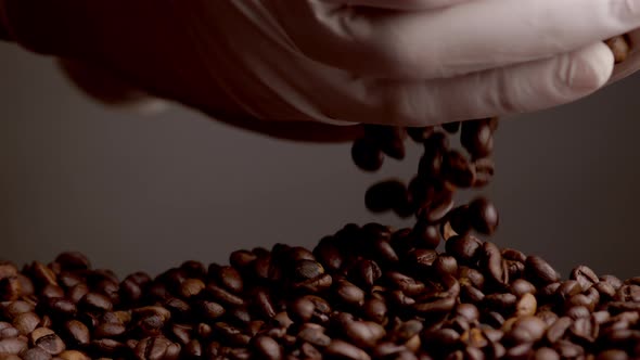 Roasted Coffee Seeds Pouring Hands in Gloves Closeup in Super Slow Motion