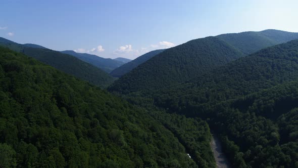 The Green Bushes and Trees Cover the Mountains Aerial View