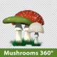 Mushrooms 360° - VideoHive Item for Sale