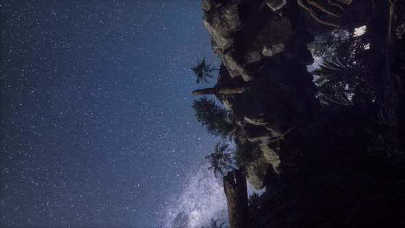 Astrophotography Star Trails Over Canyon alt