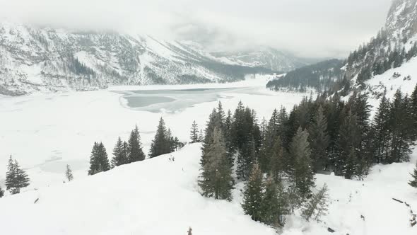 Drone flying over tree tops at the edge of frozen lake