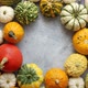 Top View of Various Kinds Cute Mini Pumpkins Placed in Circle with Copy Space - VideoHive Item for Sale