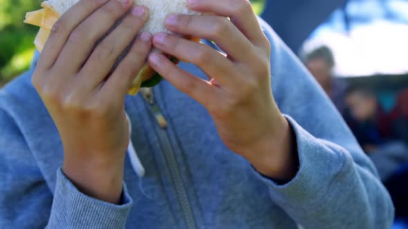 Girl having sandwich in picnic at park