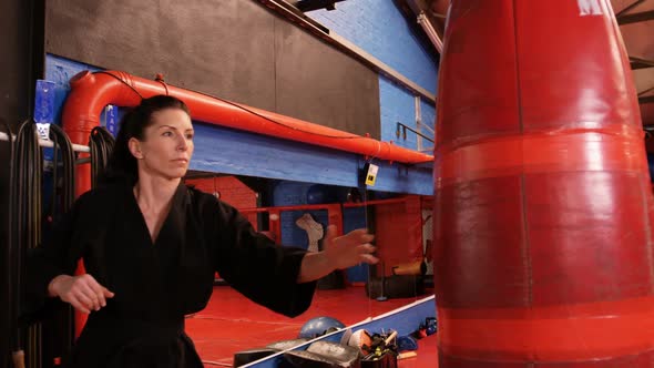 Karate player kicking a boxing bag