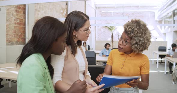 Three Multiethnic Women Working As a Team in an Office or Coworking Looking at Documents