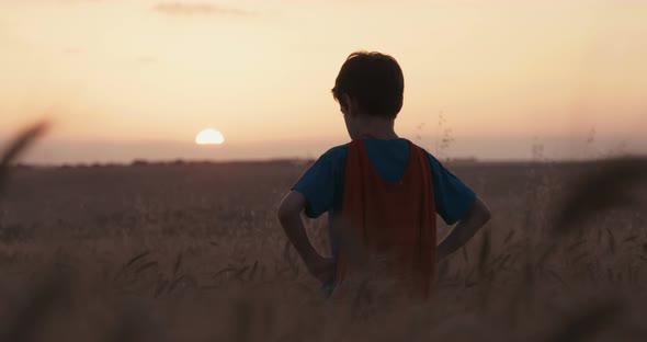 Young boy wearing a superhero cape stands in a golden wheat field looking into the sunset