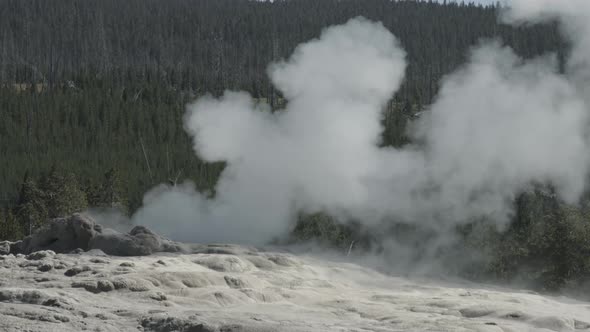 Steam vent in Yellowstone National Park