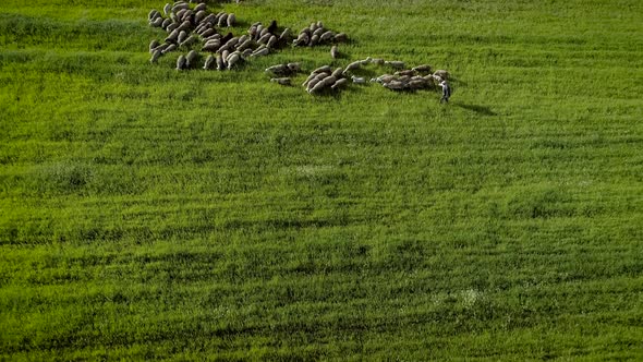 Aerial view of grass fields surrounded by vegetation and hills.