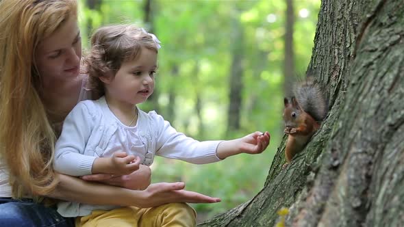 A Cute Little Girl and Her Mom Feed the Red Squirrels in the Park