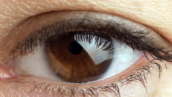 Brown eye of female looking at camera