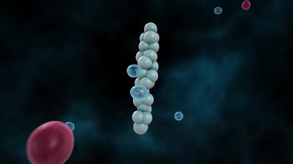 3d animation molecule of hyaluronic acid been separate