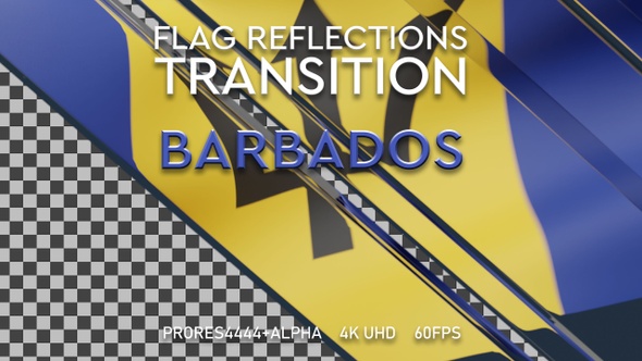 Flag of Barbados Transition | UHD | 60fps alt
