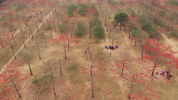 Aerial view of people in a countryside field, Dhaka, Bangladesh.