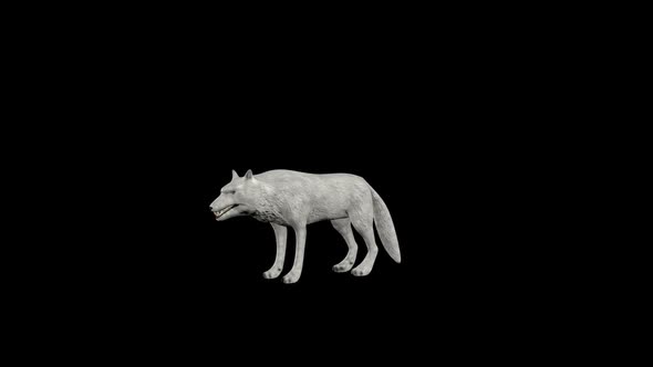 White Wolf Howl