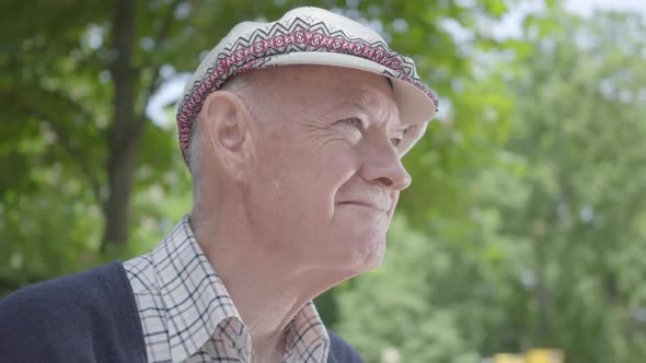 Portrait Old Man Sitting on a Bench in the Park