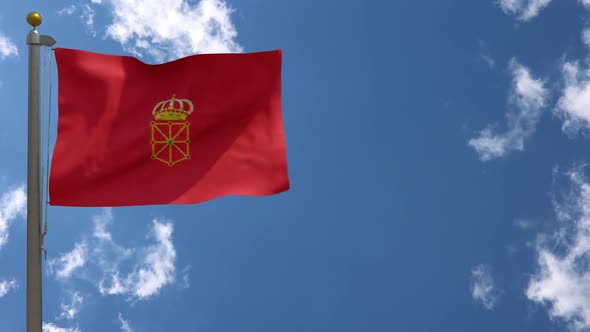 Navarre Flag (Spain) On Flagpole