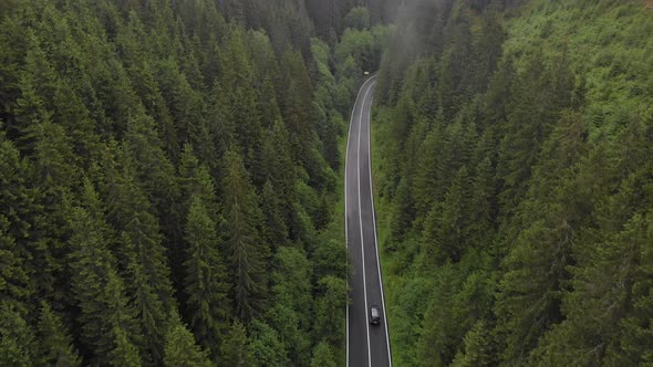 Aerial view car drive going through the forest. Ecosystem and healthy environment concept and backgr