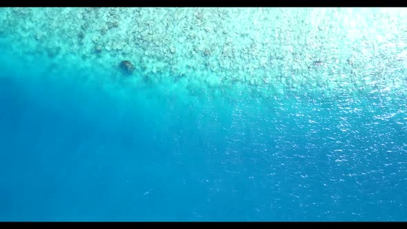 Aerial view travel of marine sea view beach wildlife by blue ocean and white sandy background of a d