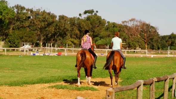 Friends riding horse in ranch 4k