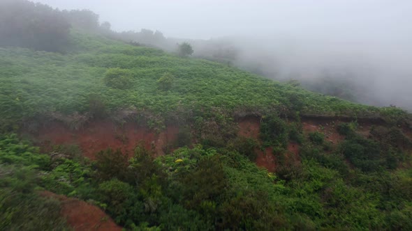 Flying Along the Slope of the Mountain at Cloud Level