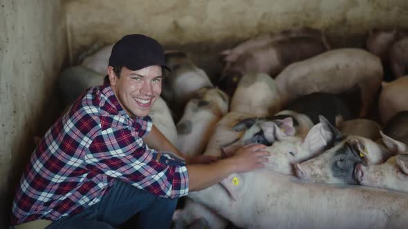 The Farmer Cares and Loves His Piglets