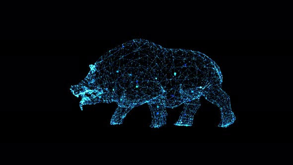 Boar Walk Particle R 00