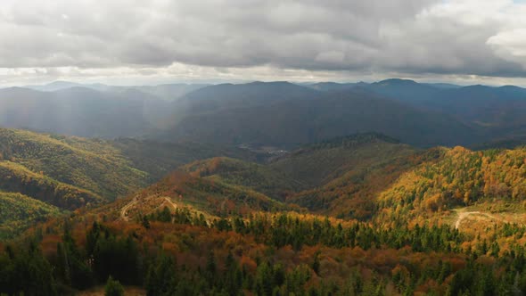 Beautiful Autmn Forest Shining at Sunset. Flying Above Colorful Mountain Flora