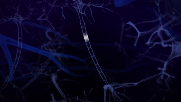 Neurons in the brain.Synapse and Neuron cells sending electrical chemical signals.