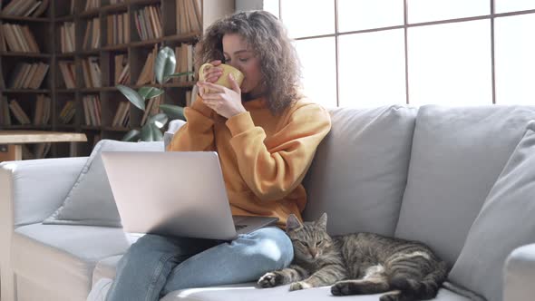 Happy Hispanic Girl Watching Movie on Laptop Laughing Playing with Cat on Sofa