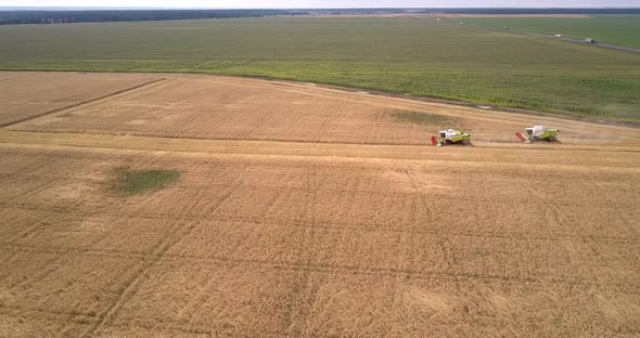 Upper View Harvesters Cultivate Wheat Field Against Meadow