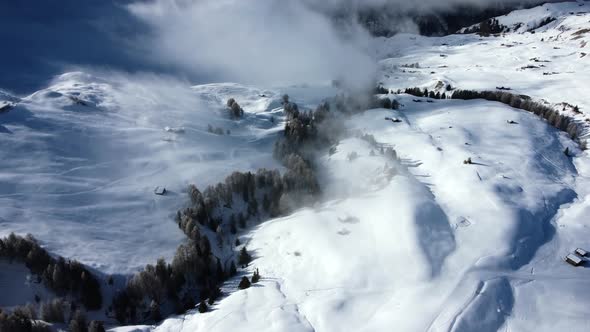 Drone flight over the snow covered pine trees in the high altitude area of the Italian Alps