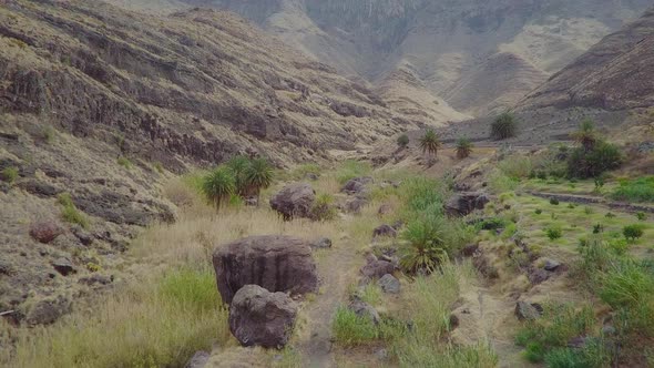 Flying Through a Gorge in Gran Canaria