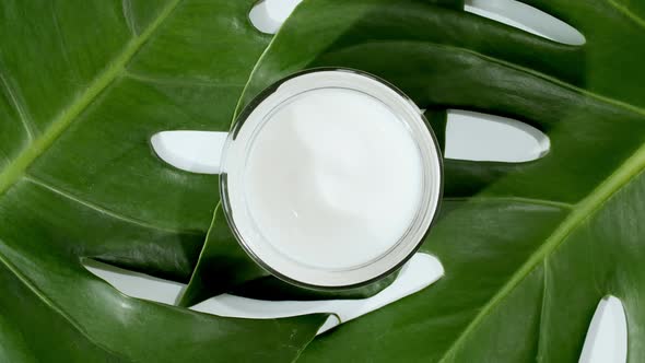 White Cosmetic Cream with Rotation on Background of Tropical Leaves Monstera
