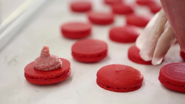 Process of Making Macaron Macaroon French Dessert Squeezing the Dough Form Cooking Bag