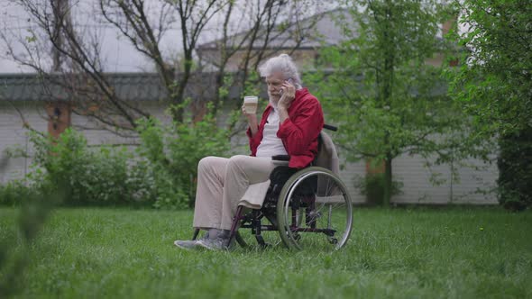 Positive Handsome Disabled Old Man in Wheelchair Talking on the Phone Drinking Coffee in Backyard