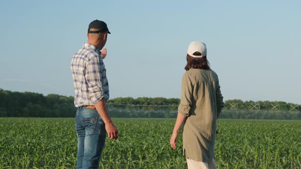 Two Farmers Discuss Watering a Cornfield