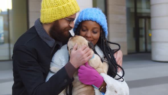 Multiethnic Couple Holding Cute Dog and Embracing Outdoors with Yellow Suitcase on Background