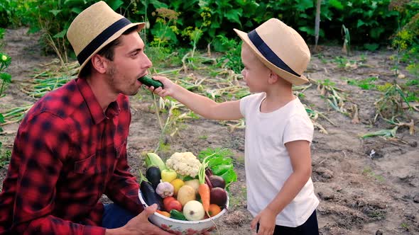 A Man is a Farmer and a Child Harvest of Vegetables in Hands