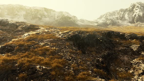 Golden Rocks and Grass of Crimean Peninsula