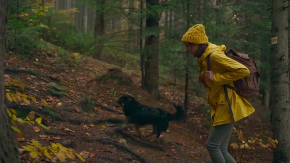 Slow Motion Footage Woman in Yellow Jacket Walks with Dog By Trail in Autumn Forest