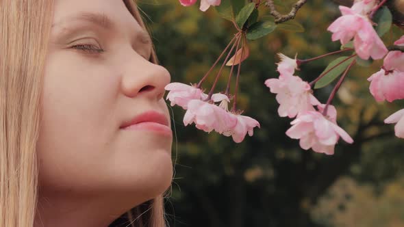 Closeup Shot of Attractive Girl Sniffs Pink Blossoms Woman Enjoys Smell of Blossoming Cherry Flower