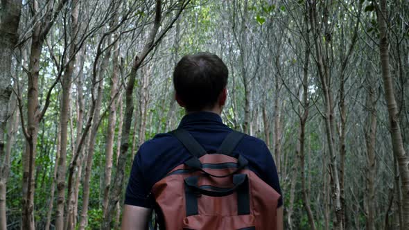 Modern Backpacker with Rucksack Walking Among Trees in Woods Travel Concept