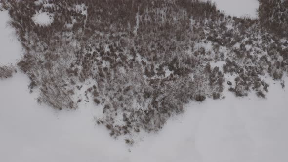 Aerial View Of Frozen Grass