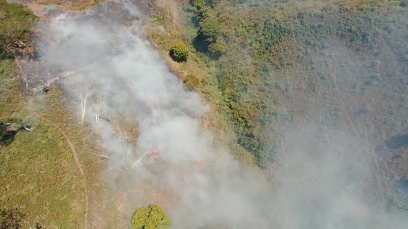 Aerial View Forest Fire. Jawa Island, Indonesia