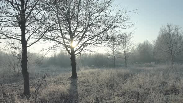 Winter & Landscape