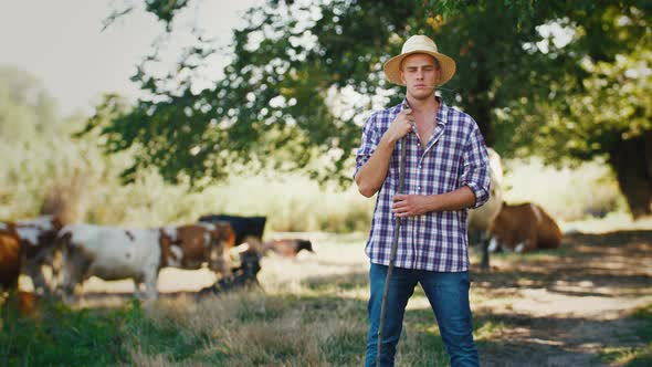 Young Villager Man Shepherd in Straw Hat with His Flock of Cows on a Rural Background Slow Motion