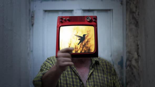 Man with Old TV on Head Showing a Hummingbird on Screen.