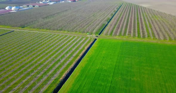 Juicy Green Striped Fields Crosses By Canals in Spring